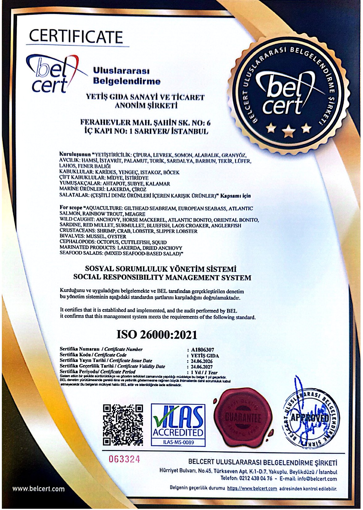 Yetiş Balık ISO 26000:2021 sertifikası
