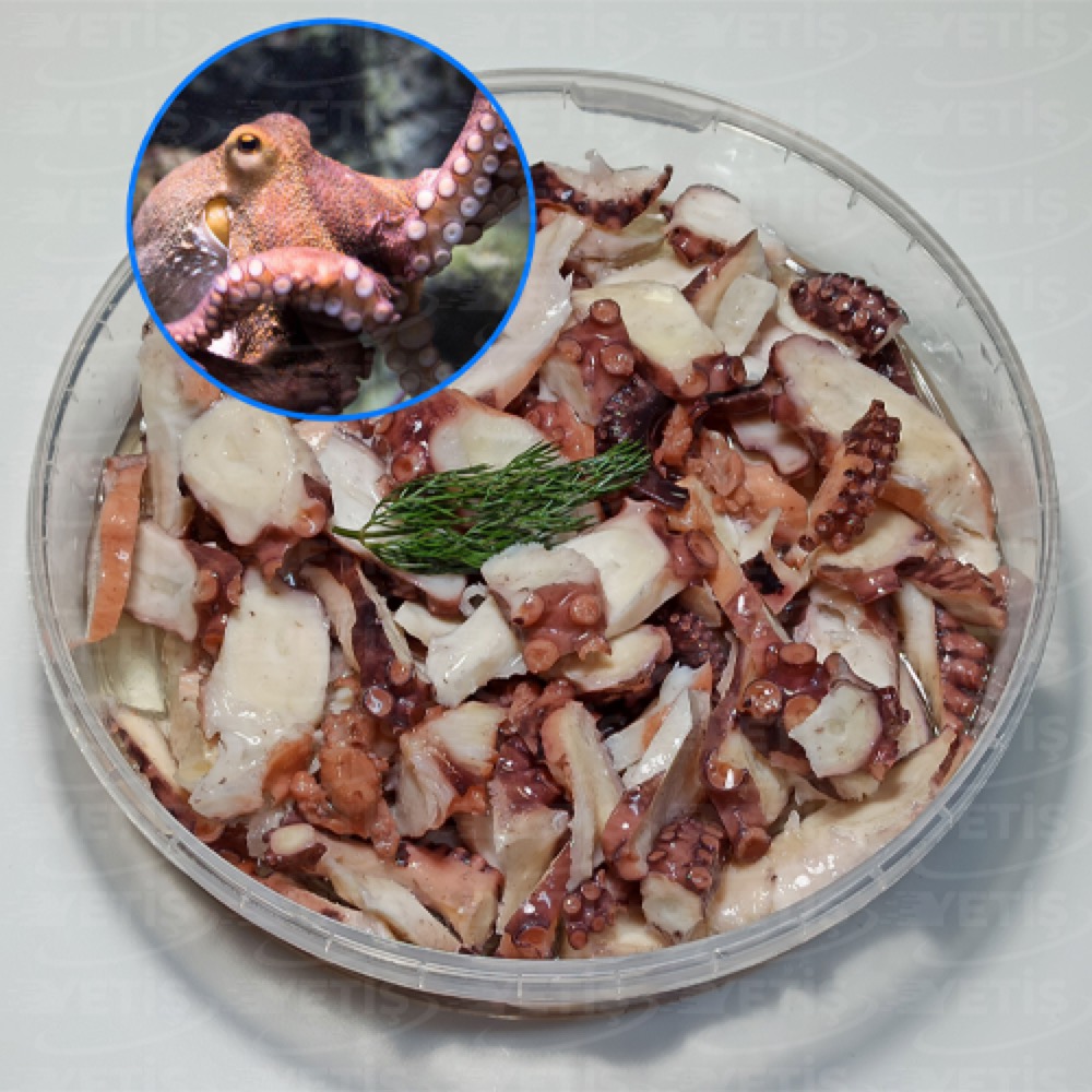 AHTAPOT SALATASI - Yetiş Balık