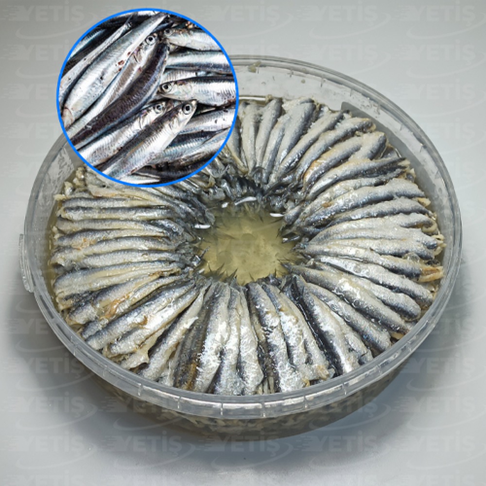 HAMSİ SADE MARİNAT - Yetiş Balık