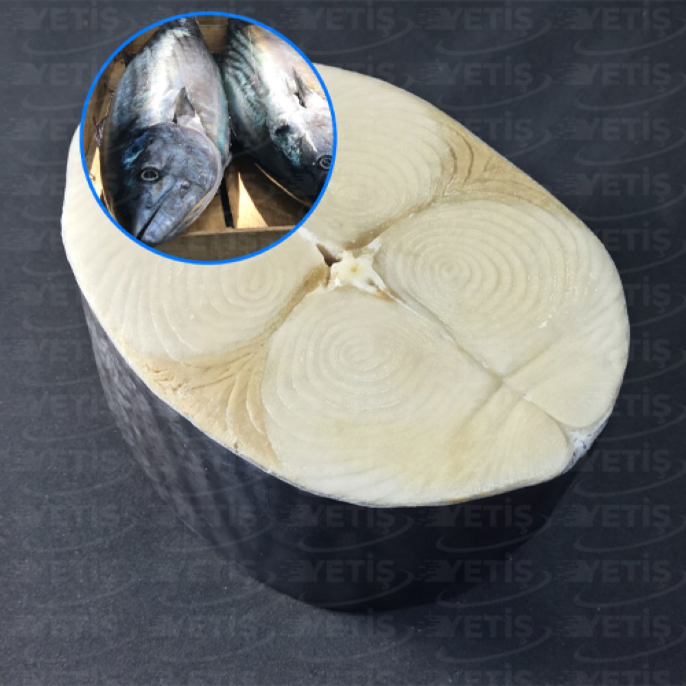 TORİK LAKERDA TAKOZ - Yetiş Balık